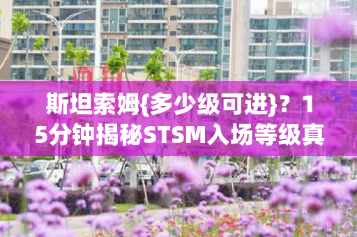 15分钟揭秘STSM入场等级真相图片