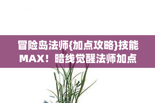 暗线觉醒法师加点公式图片