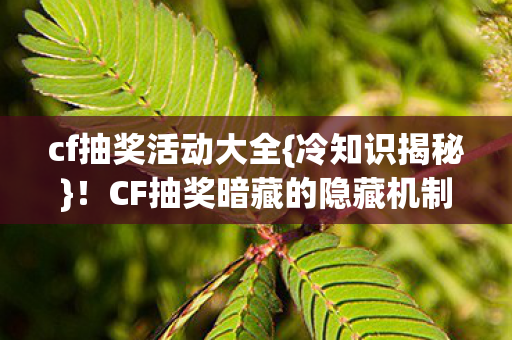 CF抽奖暗藏的隐藏机制图片