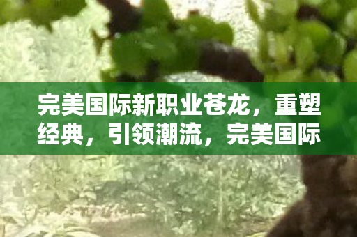 完美国际新职业苍龙图片