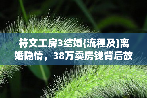 符文工房3结婚{流程及}离婚隐情,38万卖房钱背后故事 符文工房3结婚{流程及}离婚隐情,38万卖房钱背后故事