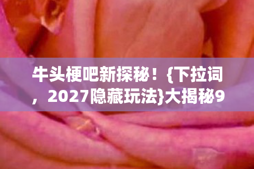 2027隐藏玩法图片