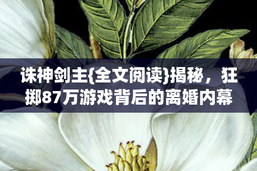狂掷87万游戏背后的离婚内幕图片