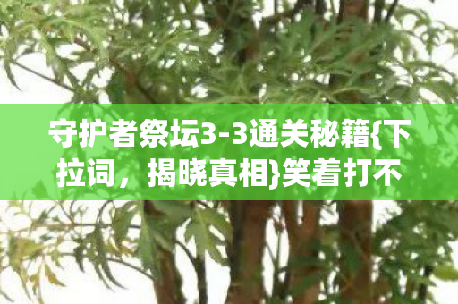守护者祭坛3图片