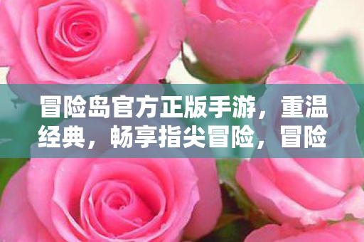 冒险岛官方正版手游，重温经典，畅享指尖冒险，冒险岛手游，重温经典，指尖畅享冒险之旅