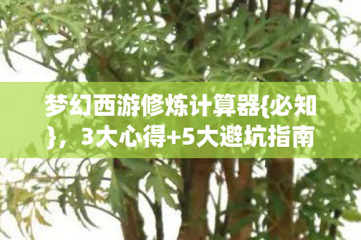 梦幻西游修炼计算器图片