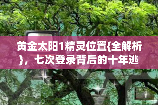 七次登录背后的十年逃亡图片