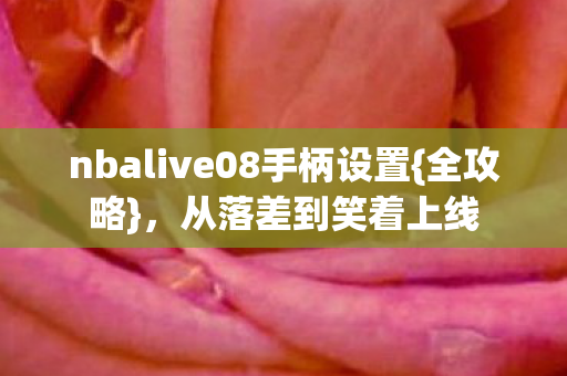 nbalive08手柄设置图片