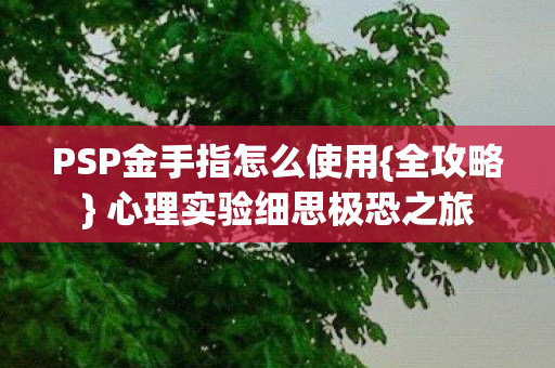 PSP金手指怎么使用图片