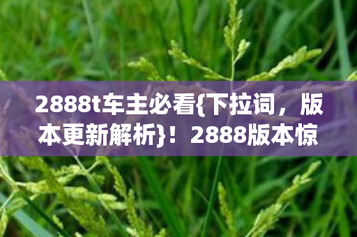 2888版本惊现离谱更新图片
