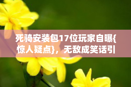 死骑安装包17位玩家自曝图片