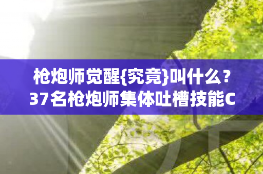 37名枪炮师集体吐槽技能CD问题图片