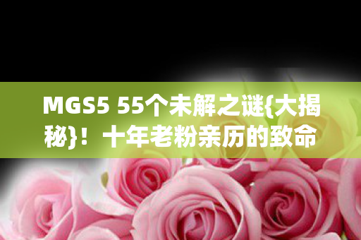 MGS5 55个未解之谜图片
