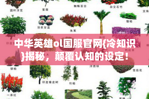 中华英雄ol国服官网图片