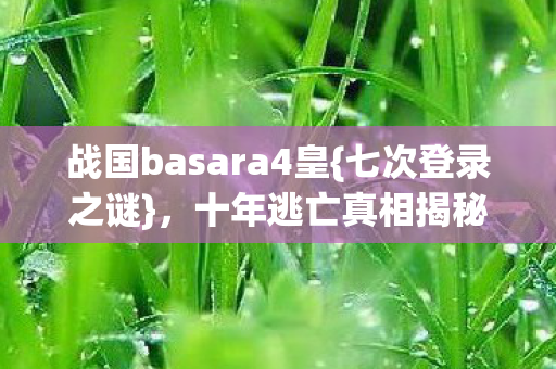 战国basara4皇图片