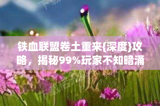 铁血联盟卷土重来图片