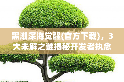 3大未解之谜揭秘开发者执念图片