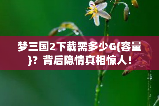 梦三国2下载需多少G图片