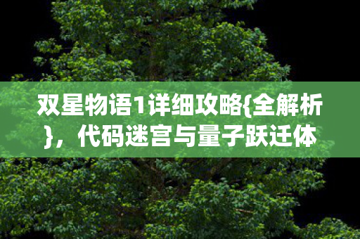代码迷宫与量子跃迁体验图片