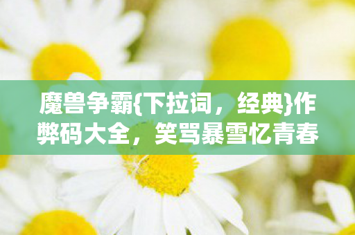 笑骂暴雪忆青春图片