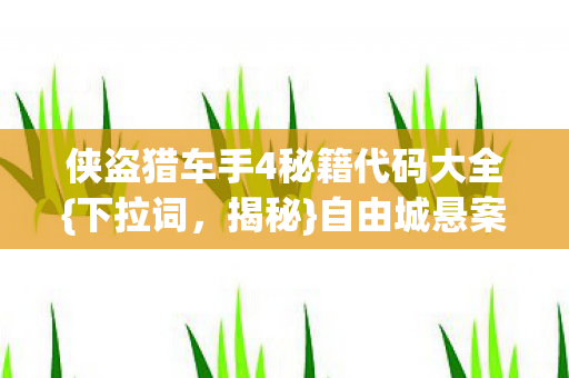 侠盗猎车手4秘籍代码大全图片