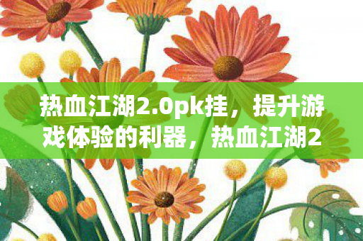 热血江湖2.0pk挂，提升游戏体验的利器，热血江湖2.0pk挂，提升游戏体验的必备利器