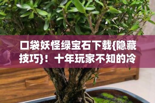 十年玩家不知的冷操作图片
