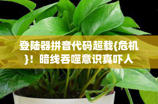 登陆器拼音代码超载{危机}！暗线吞噬意识真吓人