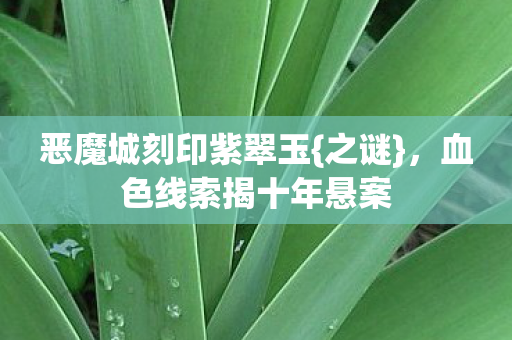 血色线索揭十年悬案图片