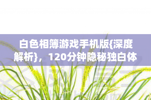 白色相簿游戏手机版{深度解析},120分钟隐秘独白体验 白色相簿游戏手机版{深度解析},120分钟隐秘独白体验