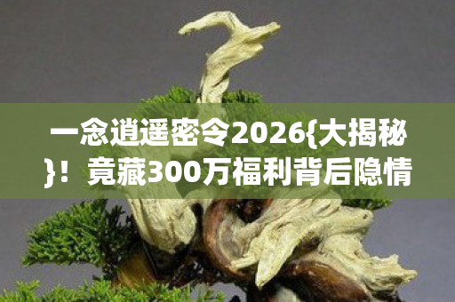 一念逍遥密令2026{大揭秘}!竟藏300万福利背后隐情 一念逍遥密令2026{大揭秘}!竟藏300万福利背后隐情