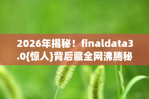 2026年揭秘！finaldata3.0{惊人}背后藏全网沸腾秘密？