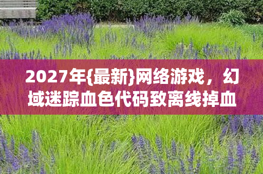 幻域迷踪血色代码致离线掉血图片