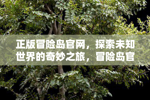 正版冒险岛官网，探索未知世界的奇妙之旅，冒险岛官网，开启探索未知世界的奇妙之旅