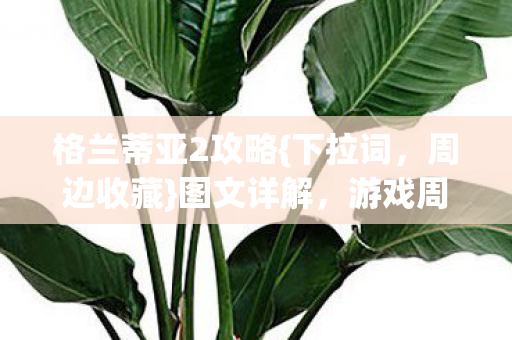 格兰蒂亚2攻略{下拉词,周边收藏}图文详解,游戏周边热潮来袭 格兰蒂亚2攻略{下拉词,周边收藏}图文详解,游戏周边热潮来袭