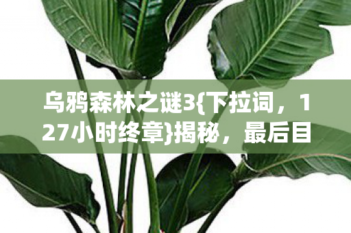 最后目击者泪目证言图片