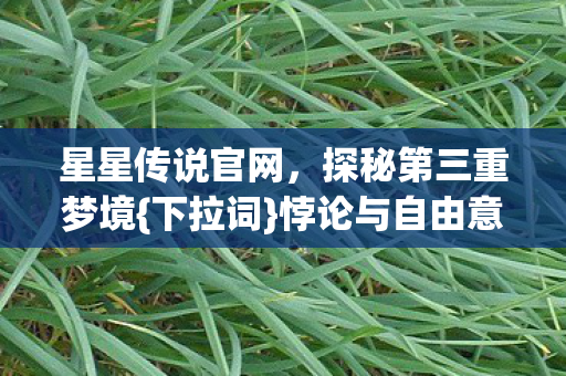探秘第三重梦境图片