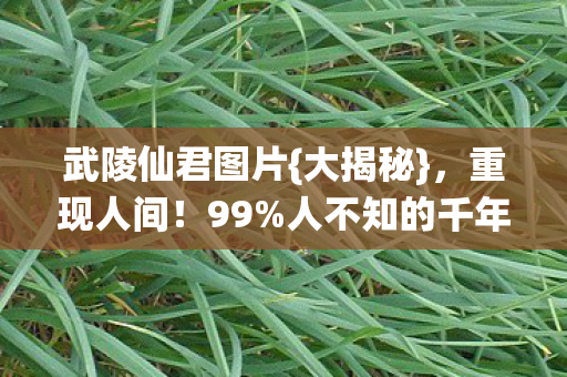 人不知的千年秘辛图片