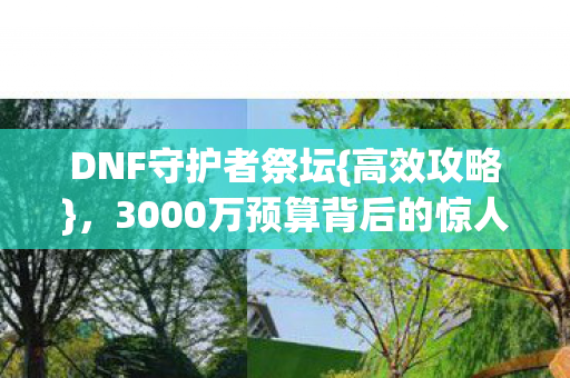 3000万预算背后的惊人结果图片