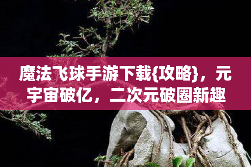 魔法飞球手游下载图片