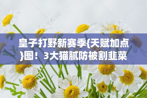 3大猫腻防被割韭菜图片