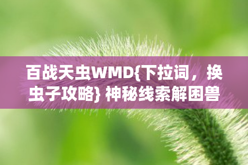 神秘线索解困兽谜图片