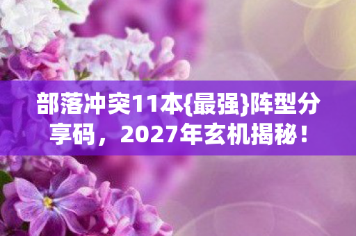 2027年玄机揭秘图片