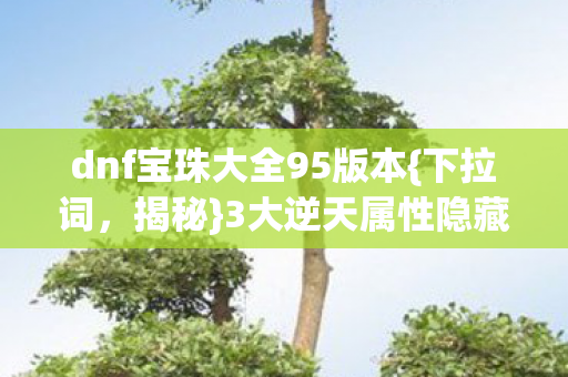 dnf宝珠大全95版本图片