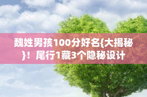 魏姓男孩100分好名图片
