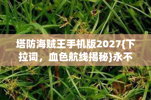塔防海贼王手机版2027图片