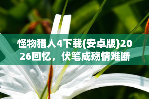 怪物猎人4下载图片