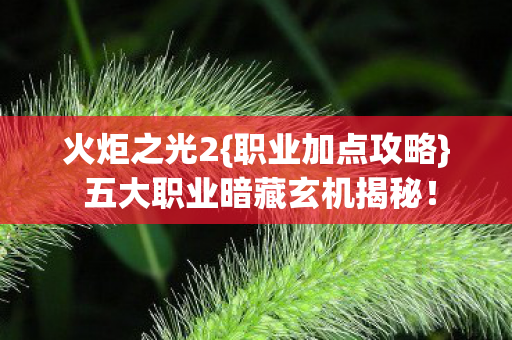 五大职业暗藏玄机揭秘图片