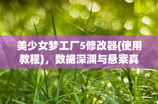 美少女梦工厂5修改器图片