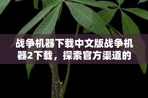 战争机器下载中文版战争机器2下载图片